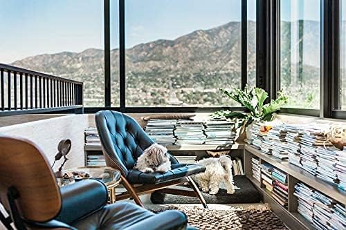 Miniatura 3 de Cama de diseño para perros de tamaño mediano a grande. Fundas lavables transpirables y duraderas con colchón resistente a los líquidos (XL, negro)