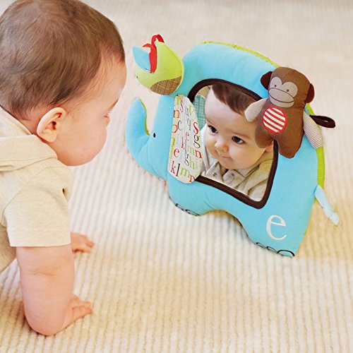 Skip Hop Alphabet Zoo Activity Mirror, Multi