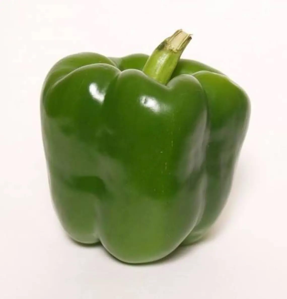 Willvine Sweet Green WONDER Bell PEPPER Capsicum-UK-4V-image-44