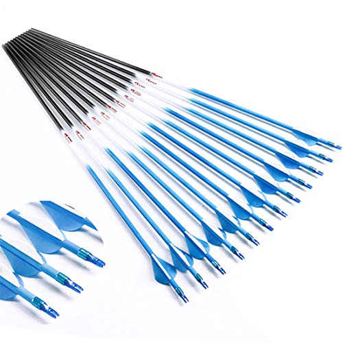 Best Compound Bow And Arrow Adult Blue 2024 Where to Buy