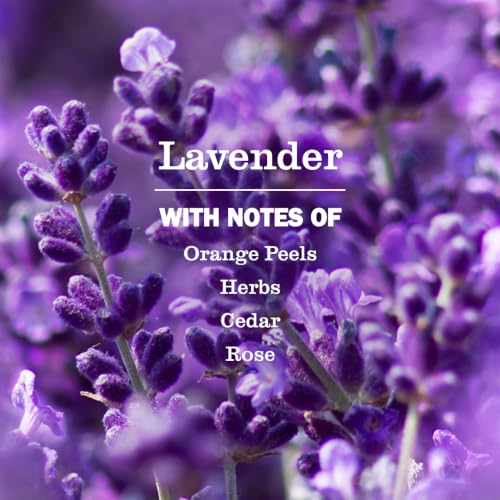 Image of Mrs. MEYER'S Variety Pack Hand Soap & Refill, 1 Rain Water Scent + Refill & 1 Lavender Scent (Variety Pack)