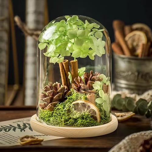 AKOLAFE Glasglocke mit Holzboden 21cm Hoch Glaskuppel Deko 17cm Durchmesser Glashaube Glasglocke Transparent Glasglocke Deko für Puppen, Kerzen, Sammlerstücke (Ohne Lampe)