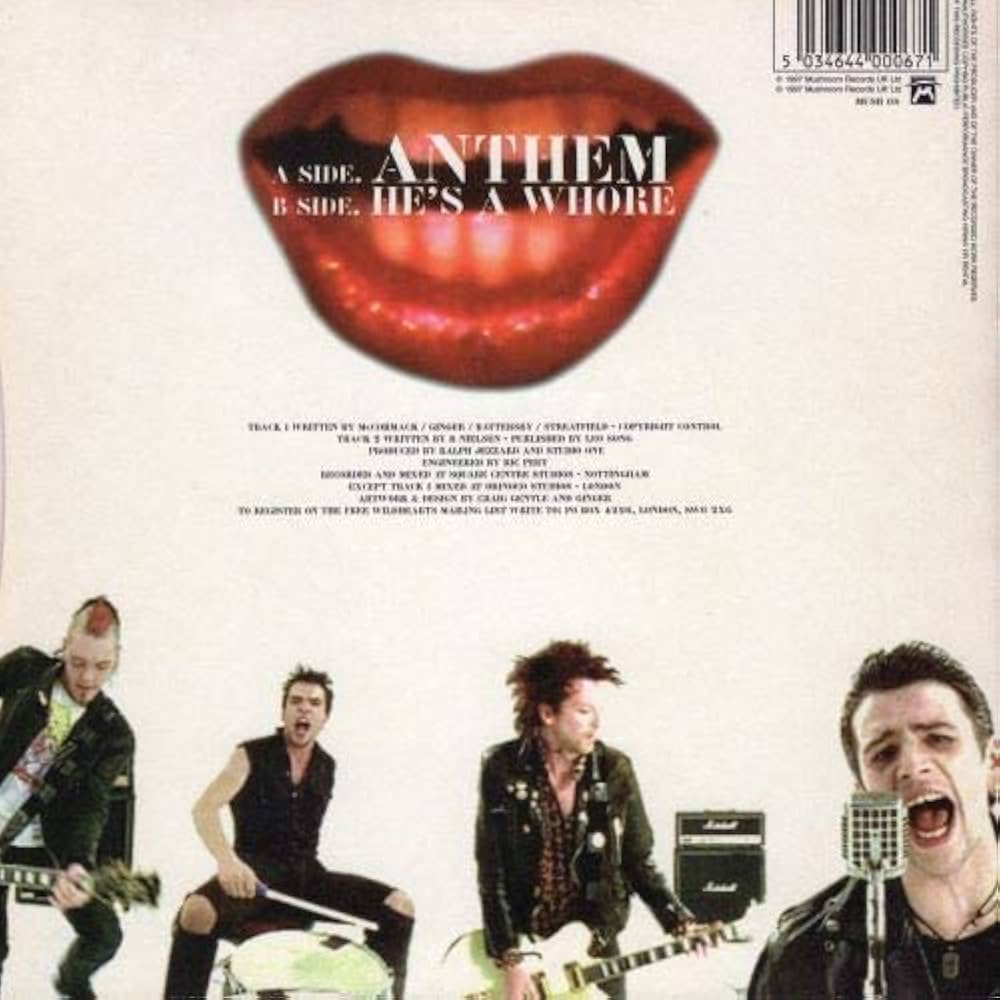 ミュージック wildhearts Amazon.co.jp: Wildhearts - Anthem - 7 inch vinyl / 45