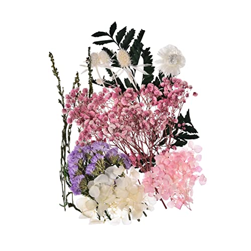  V[g hCt[ W i` | ԃV[g ޗ  R[W  p VR ԍ ޗ t H|i ԕW{ Ԃт̗t Lh nhCh y_g Aot[ hC[t ? 