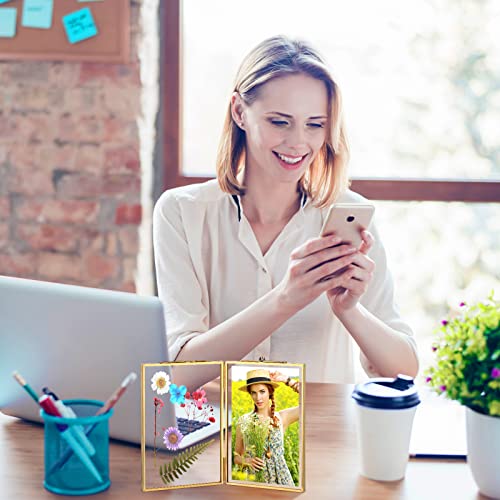 4 Pack 4X6 Inch Double Glass Picture Frame Gold Metal Pressed Photo Frames Hinged Brass Folding Picture Frames Vintage Artwork Display Frame For Pressed Flowers Artwork Certificate Plants Drawings #TOP4