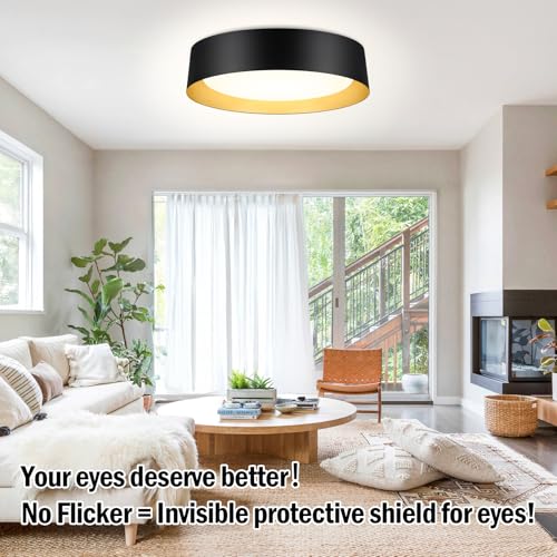 Image of Flush Mount Ceiling Light, 16in Modern Ceiling Light 5 Color Temperature