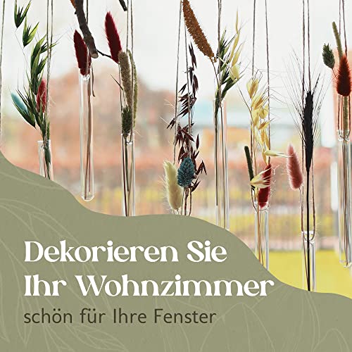 12 reageerbuizen voor het ophangen van bloemen, reageerbuisjes met gat om op te hangen, raamdecoratie, hangend, bruiloftsdecoratie, tulpenvaas, glas, bloemenvazen, hangvaas glas (15 cm) - Afbeelding 5