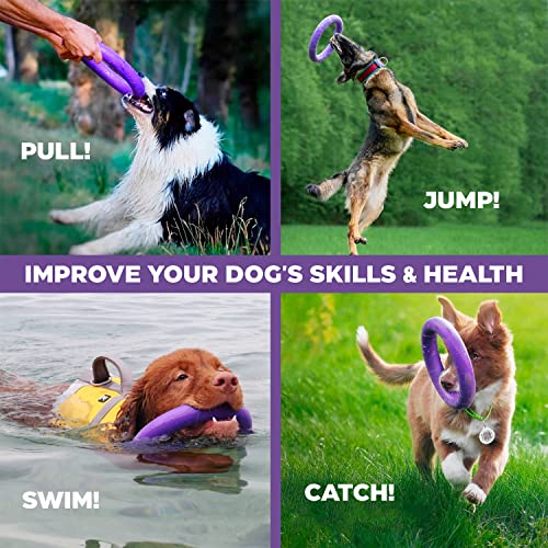 PULLER Midi Interaktives Hundespielzeug Fitness-Tool-Set