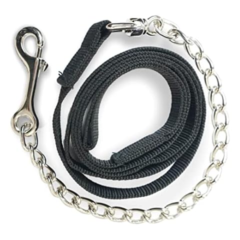 Führkette für Pferde | Sicheres Führen mit Eisenkette & Nylon Handgriff | Führleine geeignet für Hengst Hunde Pony Esel | Länge 2,10 m (Schwarz) Cover