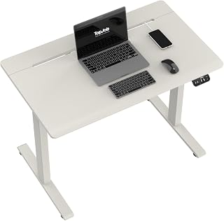 TopJob AnyDesk Hub Electric Standing Desk, Height Adjustable Small Desk with Built-in Drawer & Wide Desktop Wire Slot & Cable Management, Curved Waterfall Edge, 2 Memory Settings (Mist)