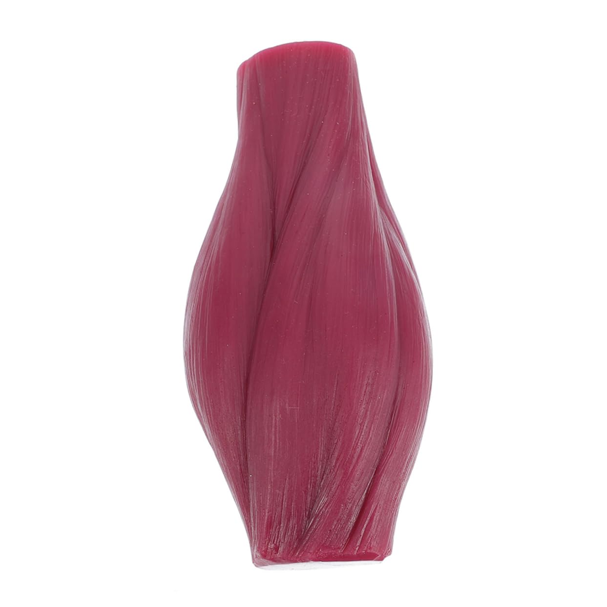 Mikikit Modèle Musculaire Pédagogique en Silicone D'une Livre pour Enseignement et Exposition, Design Unique, pour L'éducation Anatomique Démonstration