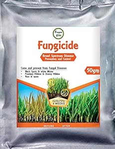 Sansar Green Fungicide used to kill parasitic fungi or their spores | 50 gm