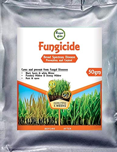 Sansar Green Fungicide used to kill parasitic fungi or their spores | 50 gm