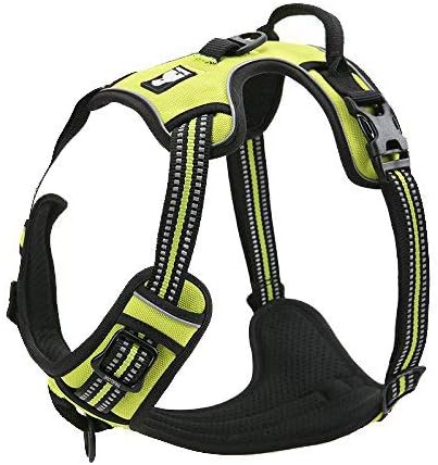 expawlorer harness