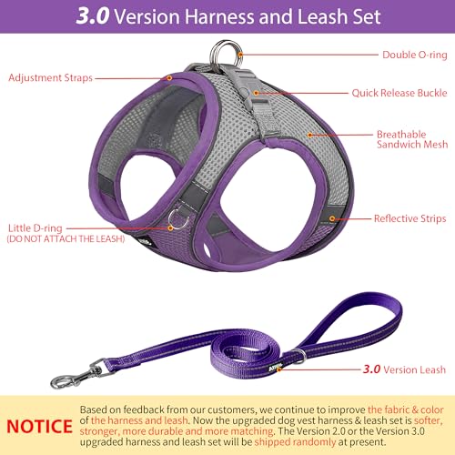 Image of AIITLE Small Harness for Puppy with A Leash - Dog Vest Harness with Super Breathable Mesh, Reflective No-Pull Pet Harness for Outdoor Walking, Running for Small Dogs, Cats Purple XXS