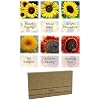 Sunflower Seeds