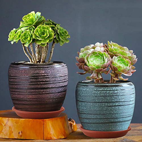 Qcyoho 12 Pack Plant Trays Plastic Plant Saucer Flower Plant Pot Saucer Heavy Duty Sturdy Drip Trays For Indoor & Outdoor Plants (5.5''/8.5''/9.5'', Brown)  #TOP6