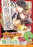 婚前溺愛~一夜の過ちから夫婦はじめます~ (ベリーズ文庫)