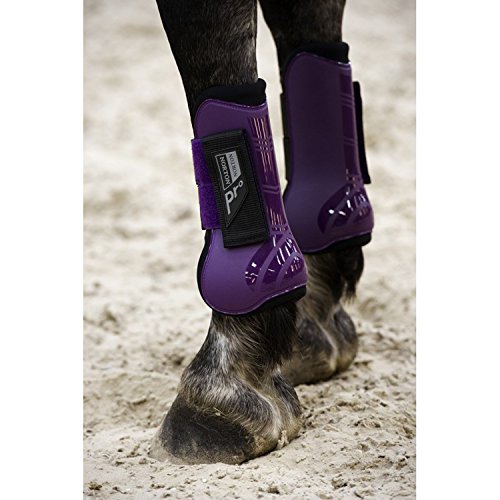 Symantec Norton Pro - Protezioni paracolpi per