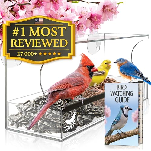 Nature’s Hangout Window Bird Feeder