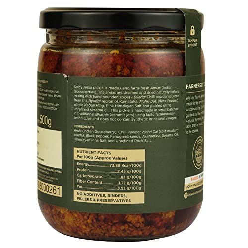Image of TWO BROTHERS ORGANIC FARMS | SPICY AMLA PICKLE 500G