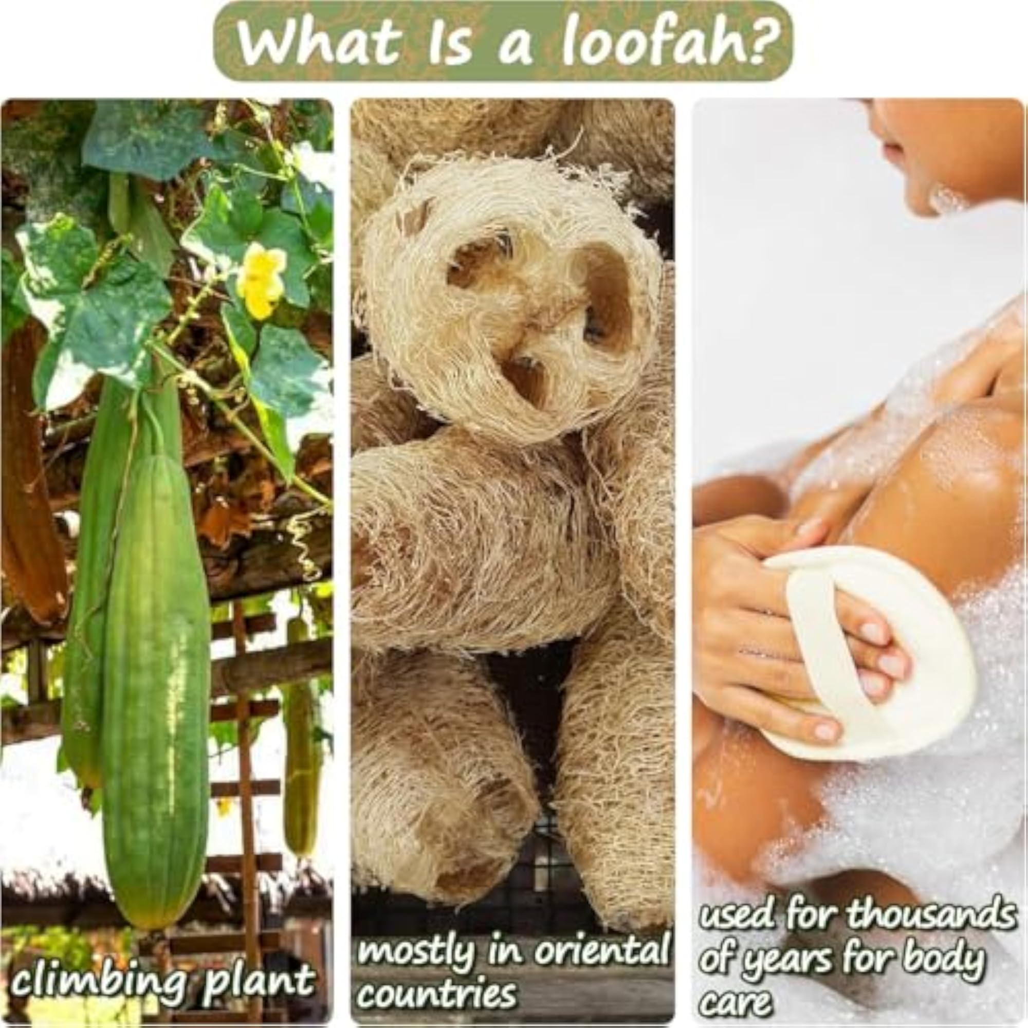 Pack of 10 Loofah Sponge Pads for Exfoliating