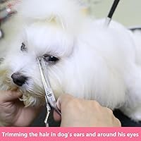 Vista 4 de HASHIMOTO Tijeras de aseo para perros pequeños con puntas redondeadas, 5.0 pulgadas, hoja recta con microdentada, diseñadas para recortar alrededor