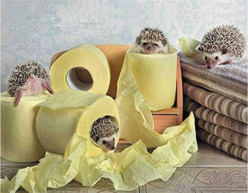 Kit Diamant Peinture Pour Adultes Point De Croix - Broderie Arts Artisanat Maison Décor 60x90