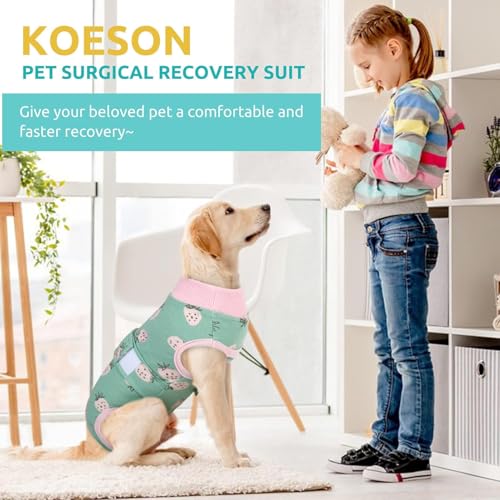 Image of KOESON Soft Dog Recovery Suit for Female Spay & Male Dogs After Surgery, M