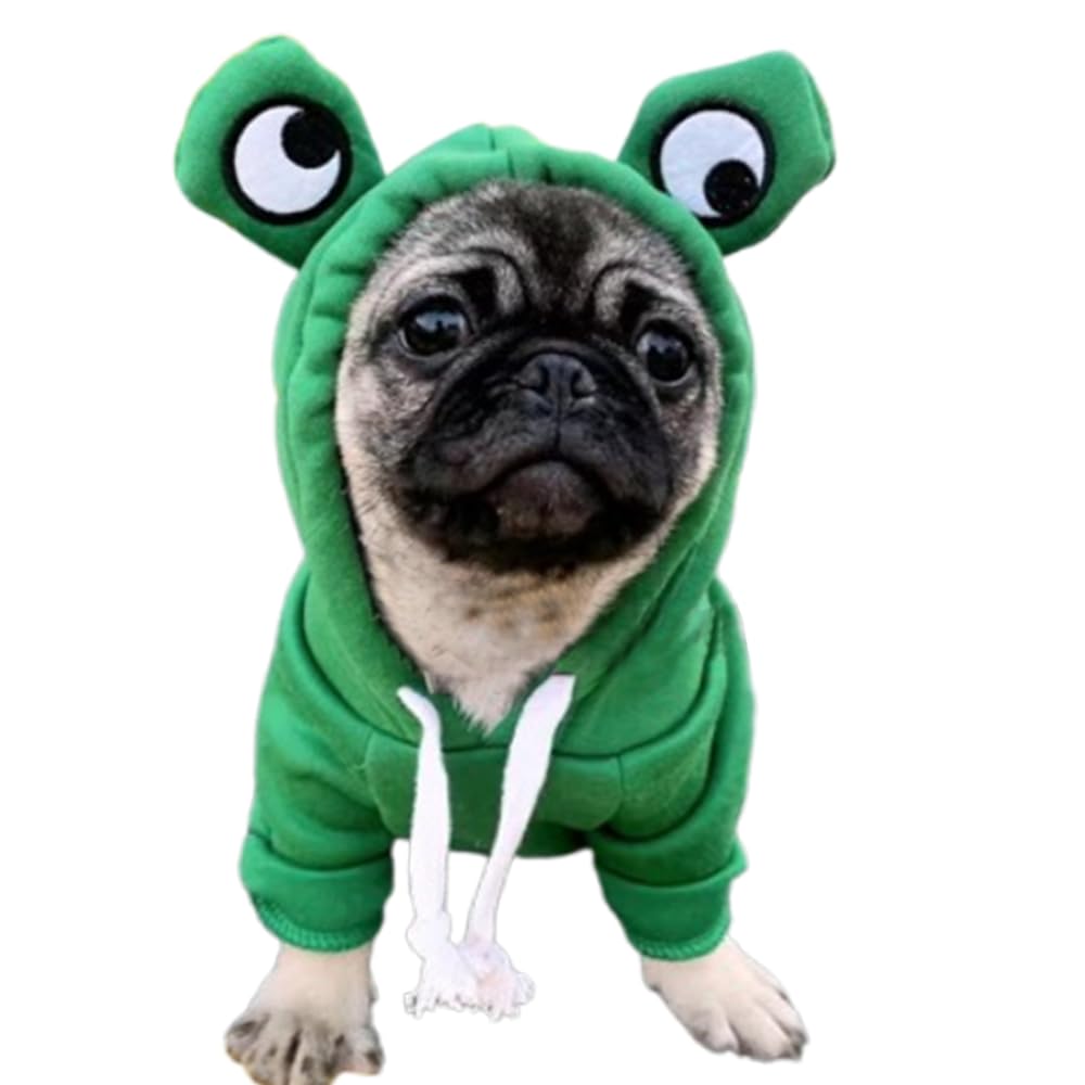 ANIAC Funny Pet Clothes for Small Dog Cat Girl Male Puppy Hoodies Warm Dogs Sweatshirt Coat with Eye Hood Fall Cat Apparel Christmas Halloween Outfit Dog Frog Costume (Green, Large)