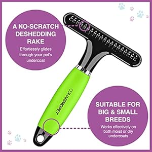 Conairpro Dog  Cat Dog Brush for Shedding Ideal for All Pets and Breeds 34 Rake to Help Reduce Heavy Undercoat Wetdry Brush Yellow  Cucciolini Doodles Conairpro dog  cat dog brush for shedding ideal for all pets and breeds 34 rake to help reduce heavy undercoat wetdry brush yellow   cucciolini doodles