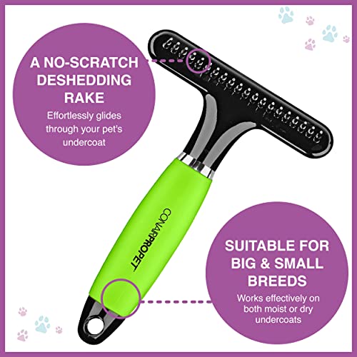 Conairpro Dog  Cat Dog Brush for Shedding Ideal for All Pets and Breeds 34 Rake to Help Reduce Heavy Undercoat Wetdry Brush Yellow  Cucciolini Doodles Conairpro dog  cat dog brush for shedding ideal for all pets and breeds 34 rake to help reduce heavy undercoat wetdry brush yellow   cucciolini doodles