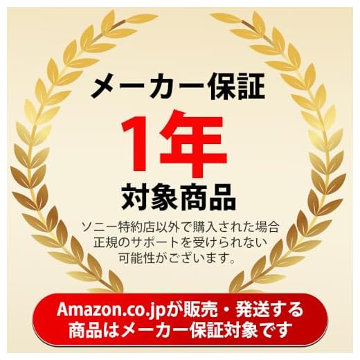 Sony E 55-210mm F4.5-6.3 Telephoto Lens