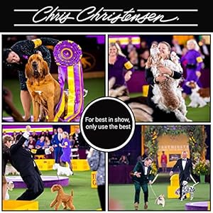 Chris Christensen Spectrum One Dog Shampoo, Coarse and Rough Coat, Groom Like a Professional, Maintain Crisp Texture, Will Not Dry Out Coat or Skin, Made in The USA, 16 oz