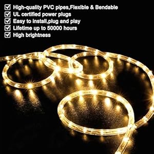 SURNIE LED Rope Lights Outdoor Warm White, Waterproof 25FT Cuttable 3000K Soft Lighting Indoor 110V Flexible Clear Tube for Bedroom Outside Garden Deck Patio Camping Decor, Not Flat Strip SURNIE LED Rope Lights Outdoor Warm White Waterproof 25FT Cuttable 3000K Soft Lighting Indoor 110V Flexible Clear Tube for Bedroom Outside Garden Deck Patio Camping Decor Not Flat Strip