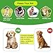 HMXLJJY 24 Stück Welpenspielzeug-Set, kleines Hundespielzeug, Welpen-Zahnspielzeug mit Aufbewahrungsbox, Welpen-Seilspielzeug, Kauspielzeug, Hundespielzeug für kleine und mittelgroße Hunde zum Spielen