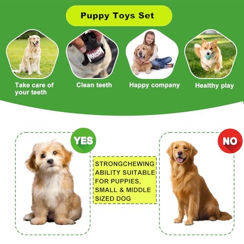 HMXLJJY 24 Stück Welpenspielzeug-Set, kleines Hundespielzeug, Welpen-Zahnspielzeug mit Aufbewahrungsbox, Welpen-Seilspielzeug, Kauspielzeug, Hundespielzeug für kleine und mittelgroße Hunde zum Spielen