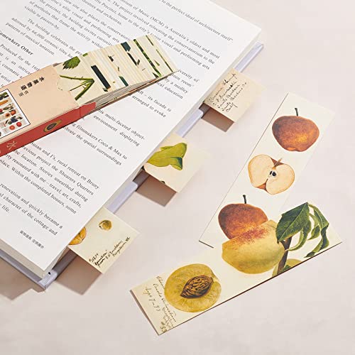 GORGECRAFT 1 Box 30PCS Bookmarks Aesthetic Fruit Bookmarks Awesome Fruit of The Spirit Vintage Style Clip in Page Marker for Women Men Book Lovers Book Club Classroom Gift - Image 4