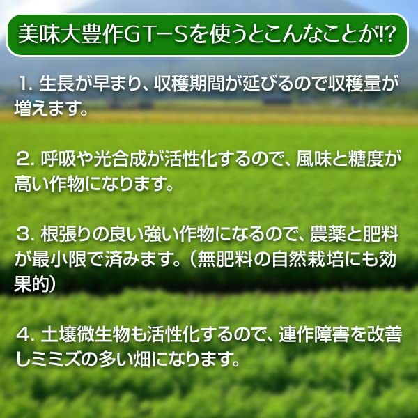 植物活力液 美味大豊作GT-S ２０リットル 作物が早く大きく育ち収穫量も増加！ Amazon | 肥料 スーパー植物活力液 美味大豊作GT-S 20リットル