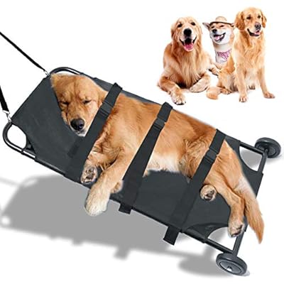 veterinary dog stretchers