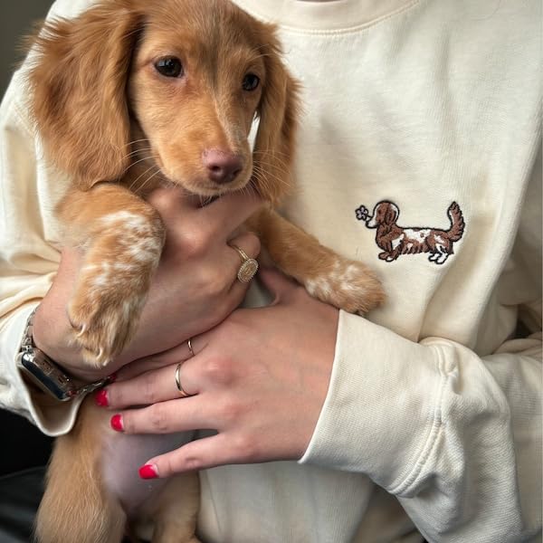 Personalized Embroidered Dachshund Crewneck, Custom Dog Pullover, Personalized Sausage Dog Sweatshirt, Unique Cream Pup Apparel, for Pet Lovers4