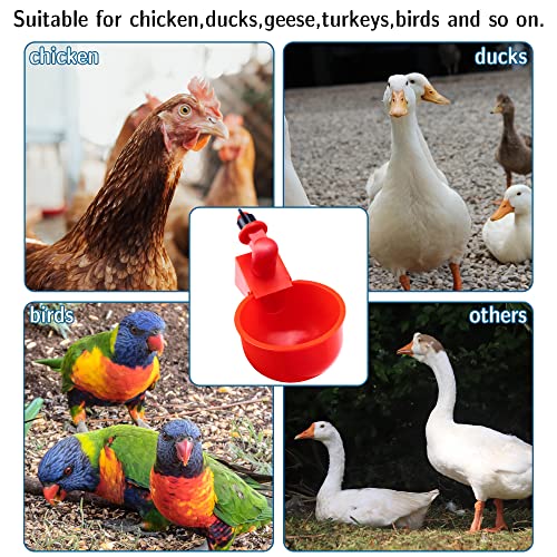 Pack 10 Chicken Waterer Cups,Chicken Feeder Cup For Chicken Duck Turkey Rabbit,3/8 Inch Thread Automatic Filling,Solution For Poultry Watering (10) (10) #TOP3