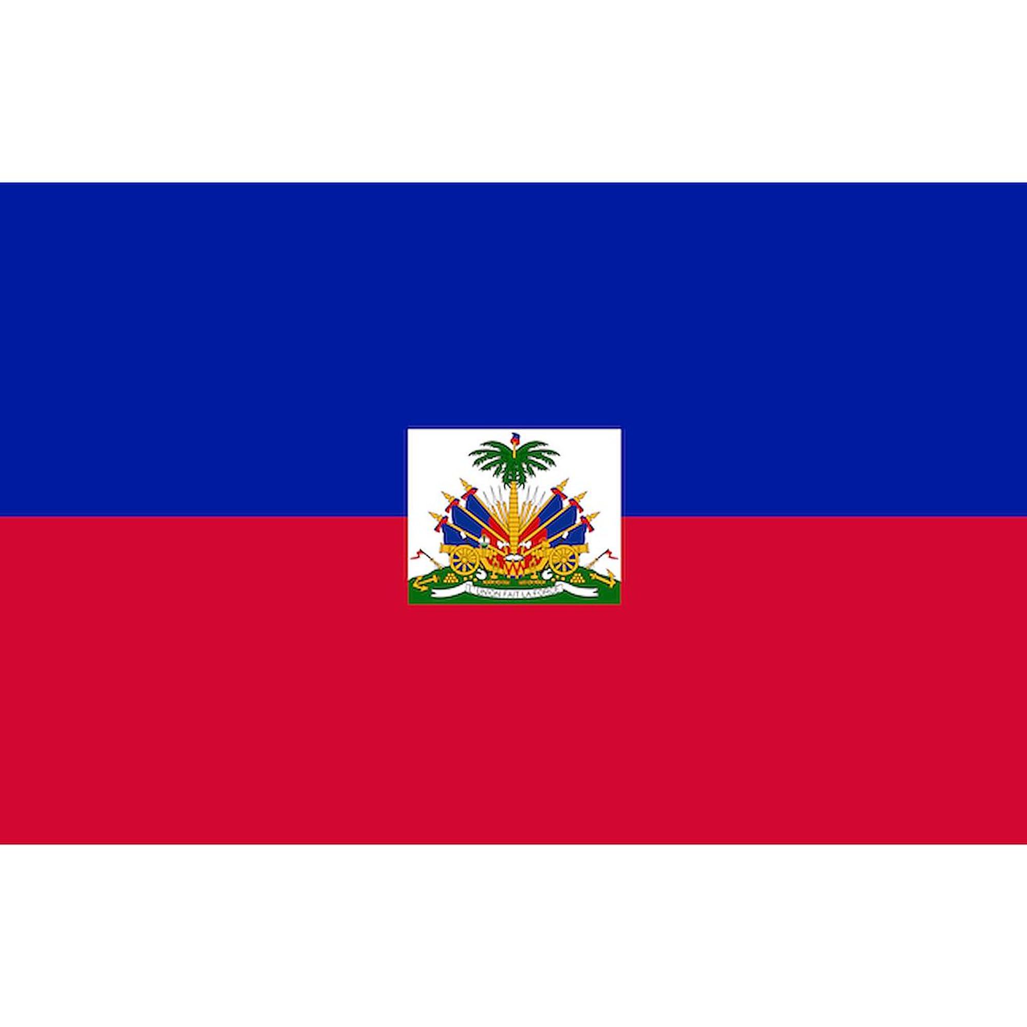 CafePress Flag Of Haiti Patches 4