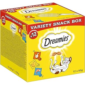 DREAMIES Katzensnacks – 12x60g – mit Huhn, Käse und Lachs – Traumhaft knusprige Katzen Leckerlies mit zarter Füllung – Variety Snack Box