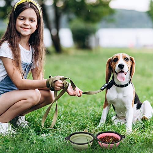 Image of SLSON Plastic, Dog Bowl Pet Collapsible Bowls, 2 Pack Collapsible Dog Water Bowls, Portable Pet Feeding Watering Dish 2 Carabiners (Small, Fairy Pink+Sprout Green, 12.7 X 9 X 5.5 Cm)