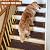 RIOLAND Stair Treads Carpet Non-Slip Indoor 15 PCS Wood Stair Treads Rugs Modern Stair Runners for Kids Dogs, 8" X 30", Brown