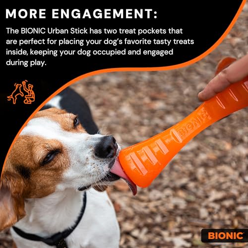 Bionic Urban Stick, extrem widerstandsfähiges Hundespielzeug, 26cm
