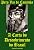 Capa de A Carta do Descobrimento do Brasil