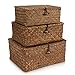 HUALIANG Rattan Aufbewahrung Korb mit Deckel,3 Pieces Natürliches Seegras Geflochtener Regalkörbe,Multifunktionaler Aufbewahrungsbox zum von Spielzeug Kosmetika badezimmer toilettenpapier aufbewahrung Aufbewahrungsbox,MoreChioce günstig Kaufen-HUALIANG Rattan Aufbewahrung Korb mit Deckel,3 Pieces Natürliches Seegras Geflochtener Regalkörbe,Multifunktionaler Aufbewahrungsbox zum von Spielzeug Kosmetika badezimmer toilettenpapier aufbewahrung