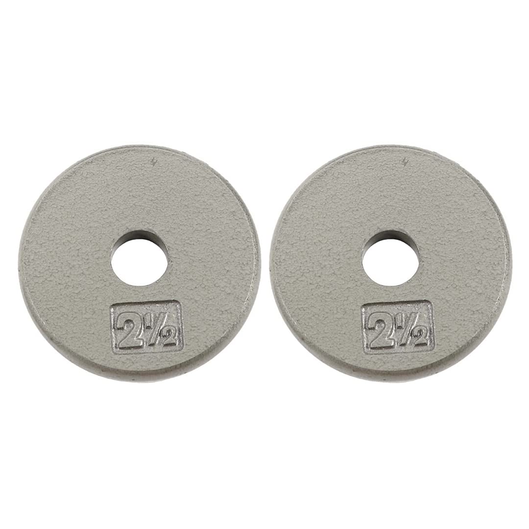 Ader Standard 1" Hole Cast Iron Weight Plate Pair- 2.5LB, Gray